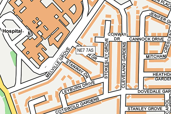 NE7 7AS map - OS OpenMap – Local (Ordnance Survey)