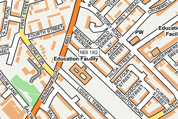 NE8 1XQ map - OS OpenMap – Local (Ordnance Survey)