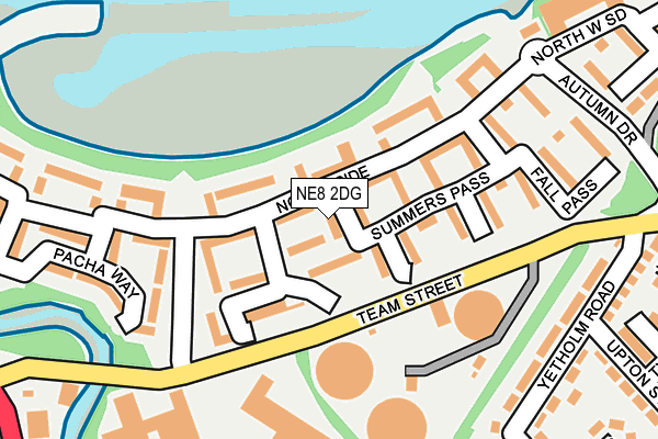 NE8 2DG map - OS OpenMap – Local (Ordnance Survey)