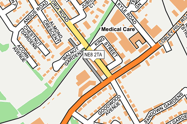 NE8 2TA map - OS OpenMap – Local (Ordnance Survey)