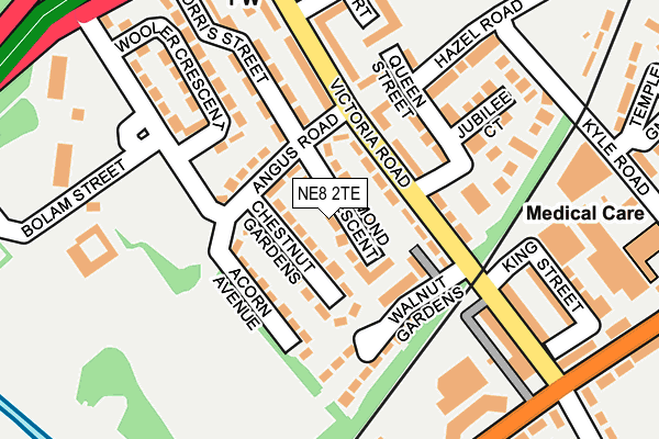 NE8 2TE map - OS OpenMap – Local (Ordnance Survey)