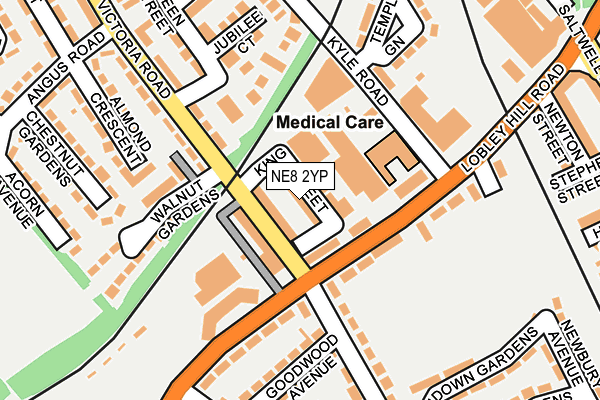 NE8 2YP map - OS OpenMap – Local (Ordnance Survey)