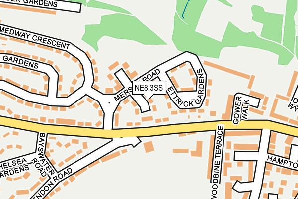 NE8 3SS map - OS OpenMap – Local (Ordnance Survey)
