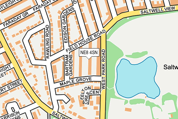 NE8 4SN map - OS OpenMap – Local (Ordnance Survey)