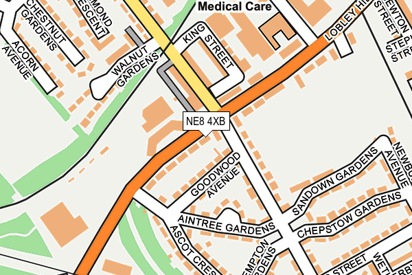 NE8 4XB map - OS OpenMap – Local (Ordnance Survey)