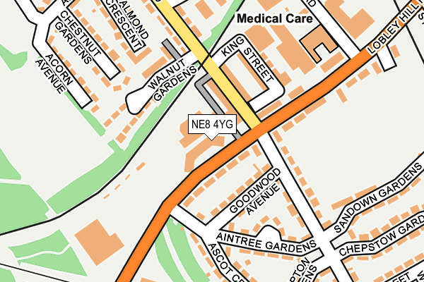 NE8 4YG map - OS OpenMap – Local (Ordnance Survey)