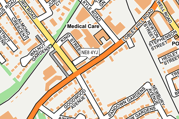 NE8 4YJ map - OS OpenMap – Local (Ordnance Survey)