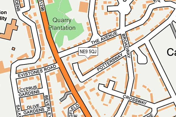 NE9 5QJ map - OS OpenMap – Local (Ordnance Survey)