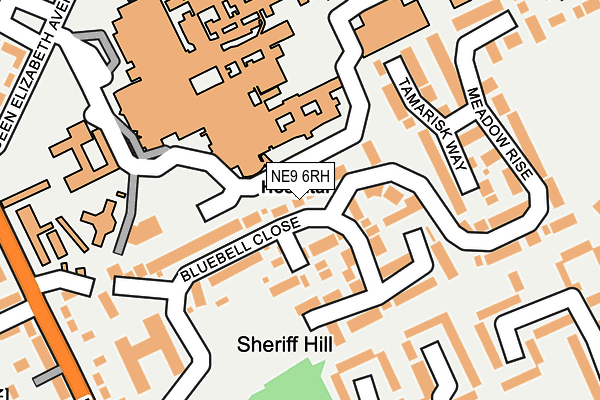 NE9 6RH map - OS OpenMap – Local (Ordnance Survey)