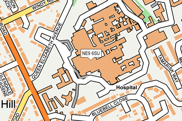 NE9 6SU map - OS OpenMap – Local (Ordnance Survey)
