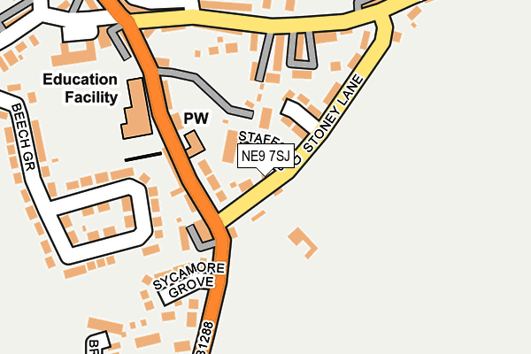NE9 7SJ map - OS OpenMap – Local (Ordnance Survey)