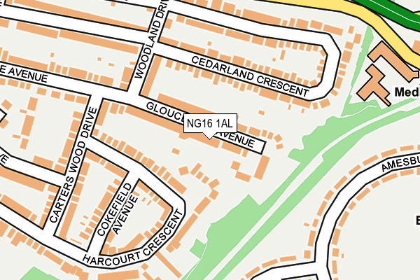 NG16 1AL map - OS OpenMap – Local (Ordnance Survey)