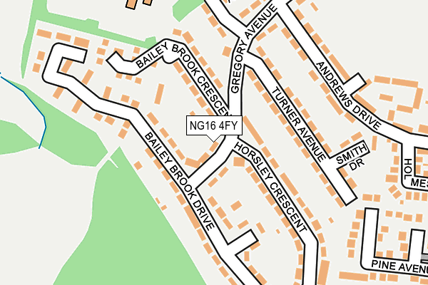 NG16 4FY map - OS OpenMap – Local (Ordnance Survey)