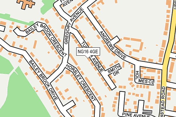 NG16 4GE map - OS OpenMap – Local (Ordnance Survey)