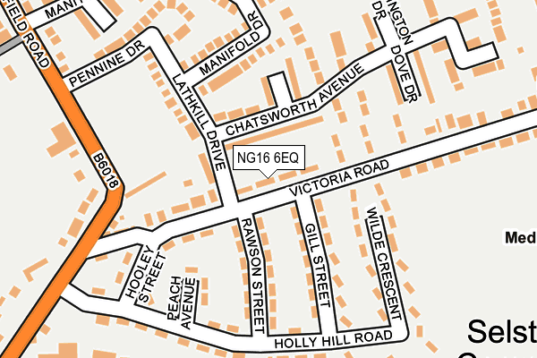 NG16 6EQ map - OS OpenMap – Local (Ordnance Survey)