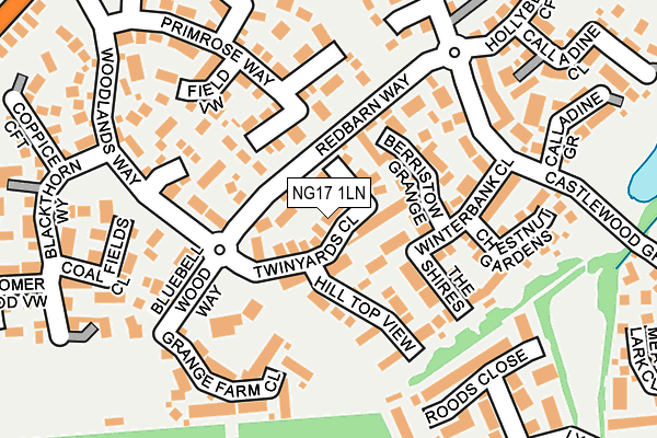 NG17 1LN map - OS OpenMap – Local (Ordnance Survey)