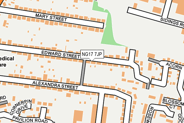 NG17 7JP map - OS OpenMap – Local (Ordnance Survey)