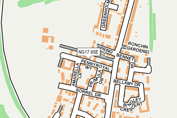 NG17 8SE map - OS OpenMap – Local (Ordnance Survey)