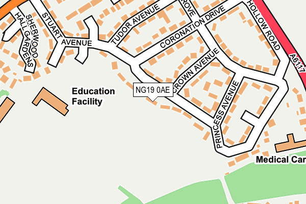 NG19 0AE map - OS OpenMap – Local (Ordnance Survey)