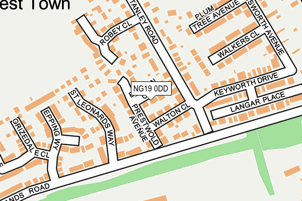 NG19 0DD map - OS OpenMap – Local (Ordnance Survey)