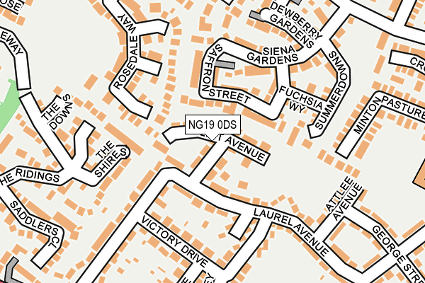 NG19 0DS map - OS OpenMap – Local (Ordnance Survey)