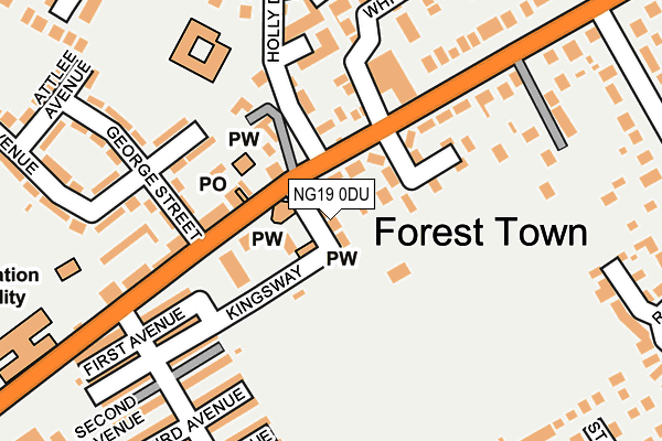 NG19 0DU map - OS OpenMap – Local (Ordnance Survey)