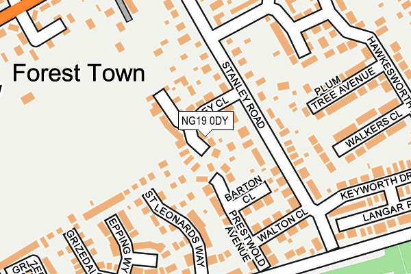 NG19 0DY map - OS OpenMap – Local (Ordnance Survey)