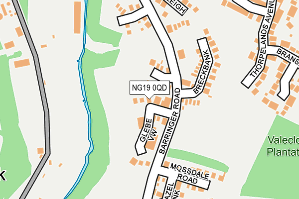NG19 0QD map - OS OpenMap – Local (Ordnance Survey)