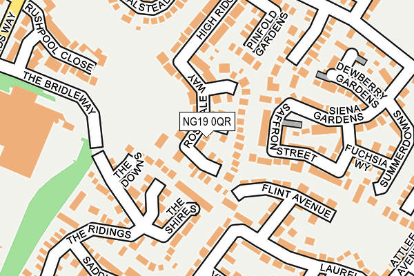 NG19 0QR map - OS OpenMap – Local (Ordnance Survey)