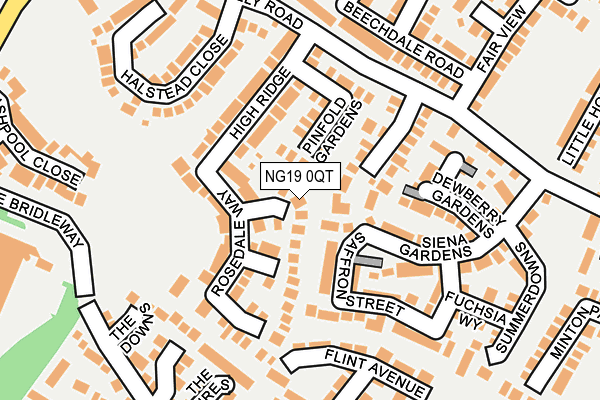 NG19 0QT map - OS OpenMap – Local (Ordnance Survey)