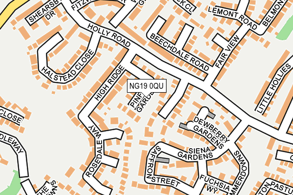 NG19 0QU map - OS OpenMap – Local (Ordnance Survey)