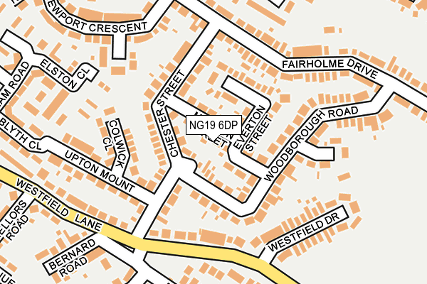 NG19 6DP map - OS OpenMap – Local (Ordnance Survey)