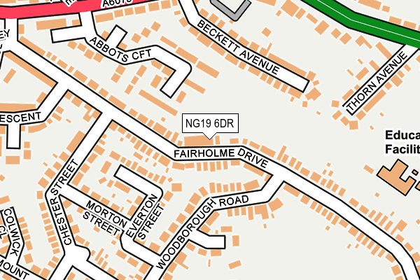 NG19 6DR map - OS OpenMap – Local (Ordnance Survey)