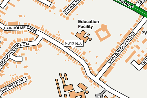 NG19 6DX map - OS OpenMap – Local (Ordnance Survey)