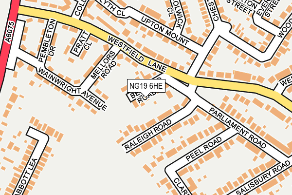 NG19 6HE map - OS OpenMap – Local (Ordnance Survey)