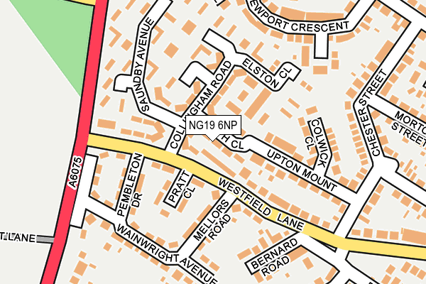 NG19 6NP map - OS OpenMap – Local (Ordnance Survey)