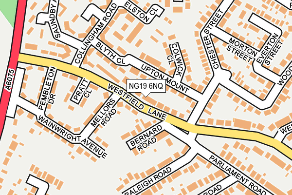 NG19 6NQ map - OS OpenMap – Local (Ordnance Survey)