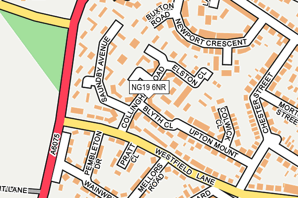 NG19 6NR map - OS OpenMap – Local (Ordnance Survey)