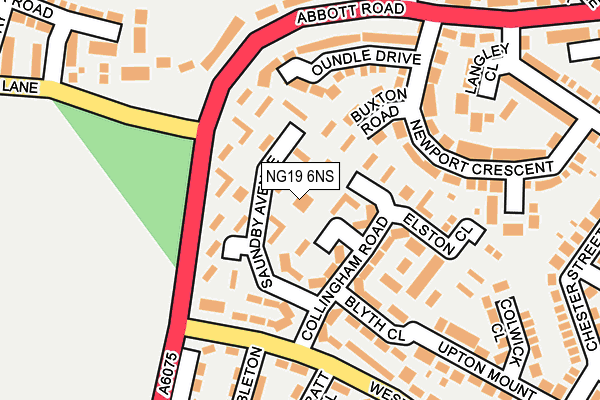 NG19 6NS map - OS OpenMap – Local (Ordnance Survey)