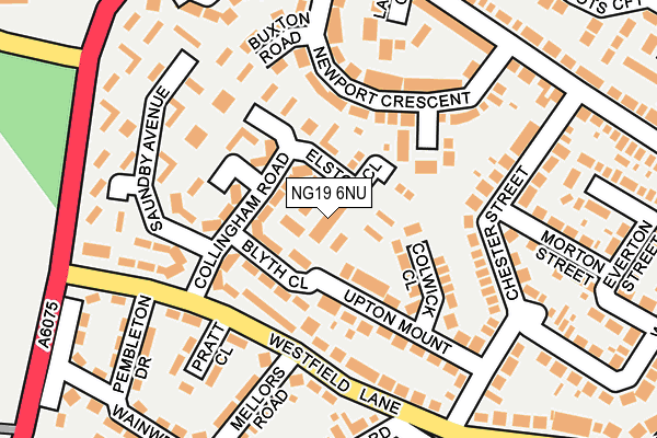 NG19 6NU map - OS OpenMap – Local (Ordnance Survey)