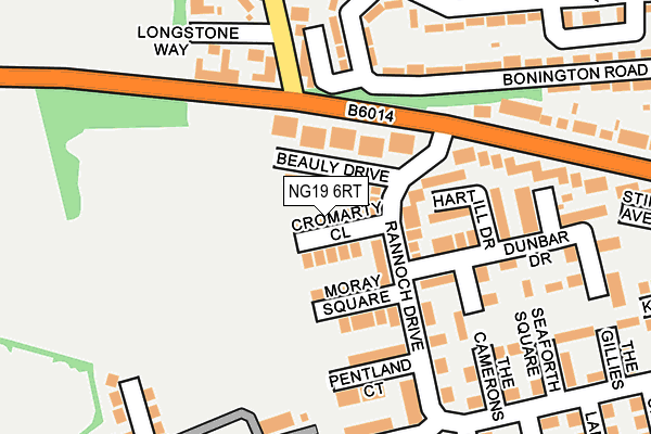 NG19 6RT map - OS OpenMap – Local (Ordnance Survey)