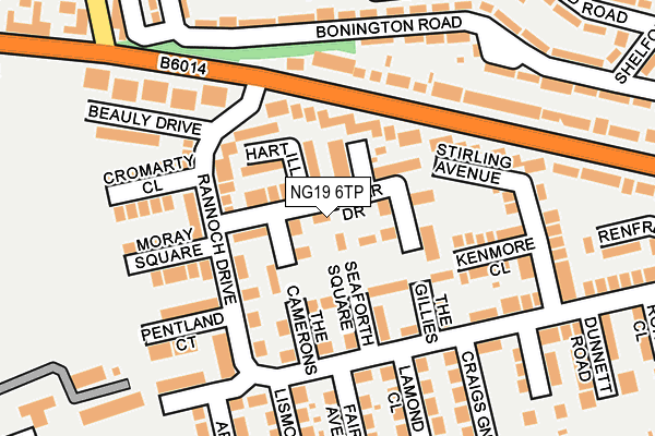 NG19 6TP map - OS OpenMap – Local (Ordnance Survey)