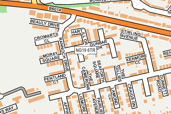 NG19 6TR map - OS OpenMap – Local (Ordnance Survey)