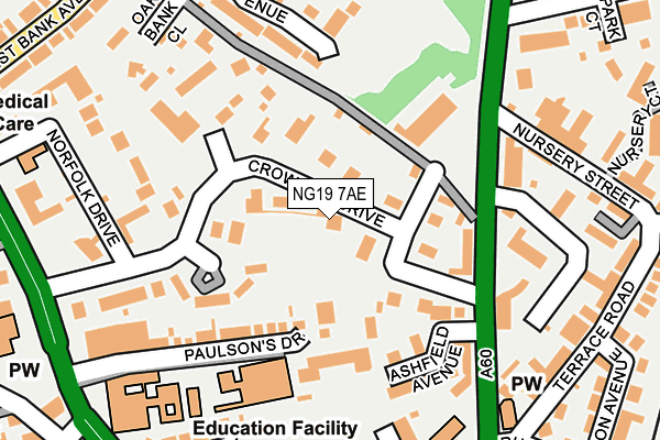 NG19 7AE map - OS OpenMap – Local (Ordnance Survey)