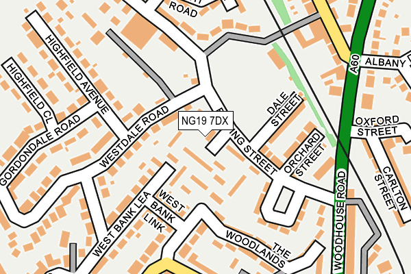 NG19 7DX map - OS OpenMap – Local (Ordnance Survey)