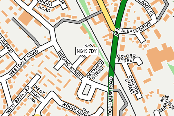 NG19 7DY map - OS OpenMap – Local (Ordnance Survey)