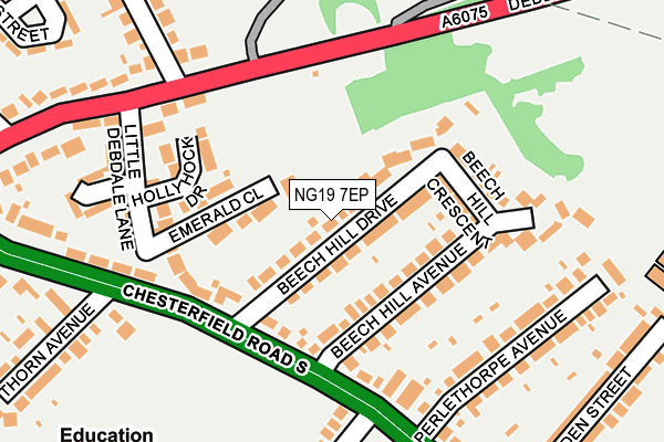 NG19 7EP map - OS OpenMap – Local (Ordnance Survey)