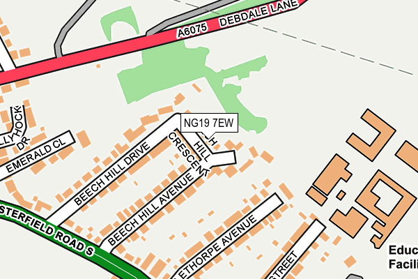 NG19 7EW map - OS OpenMap – Local (Ordnance Survey)