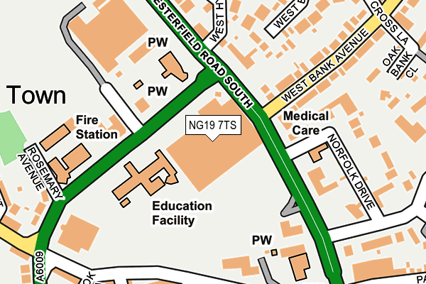 NG19 7TS map - OS OpenMap – Local (Ordnance Survey)