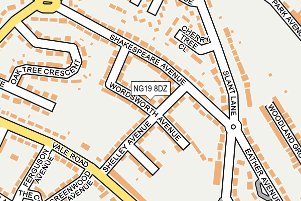 NG19 8DZ map - OS OpenMap – Local (Ordnance Survey)